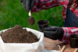 Nutrição vegetal de alta performance: o diferencial da linha própria da Delta Agrícola