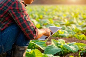 Lucra Mais Cereais: decisões assertivas com agricultura de precisão na Delta Agrícola