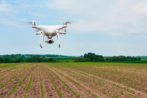 Como o mapeamento por NDVI apoia decisões estratégicas no campo: a tecnologia aplicada pela Delta Agrícola